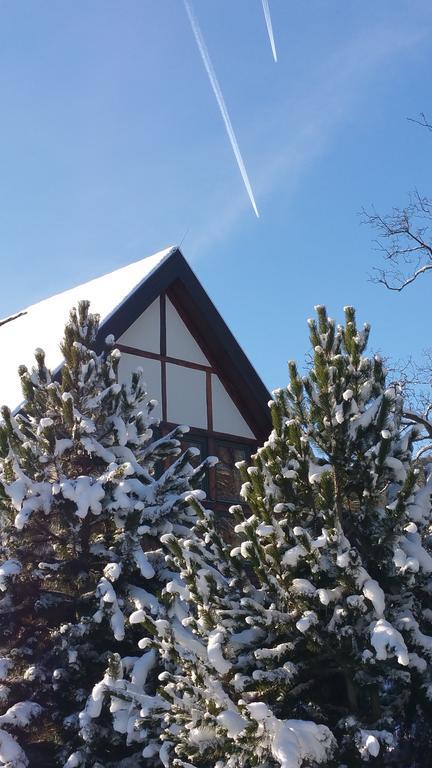 Landhaus Tonmuehle Ilsenburg Bagian luar foto